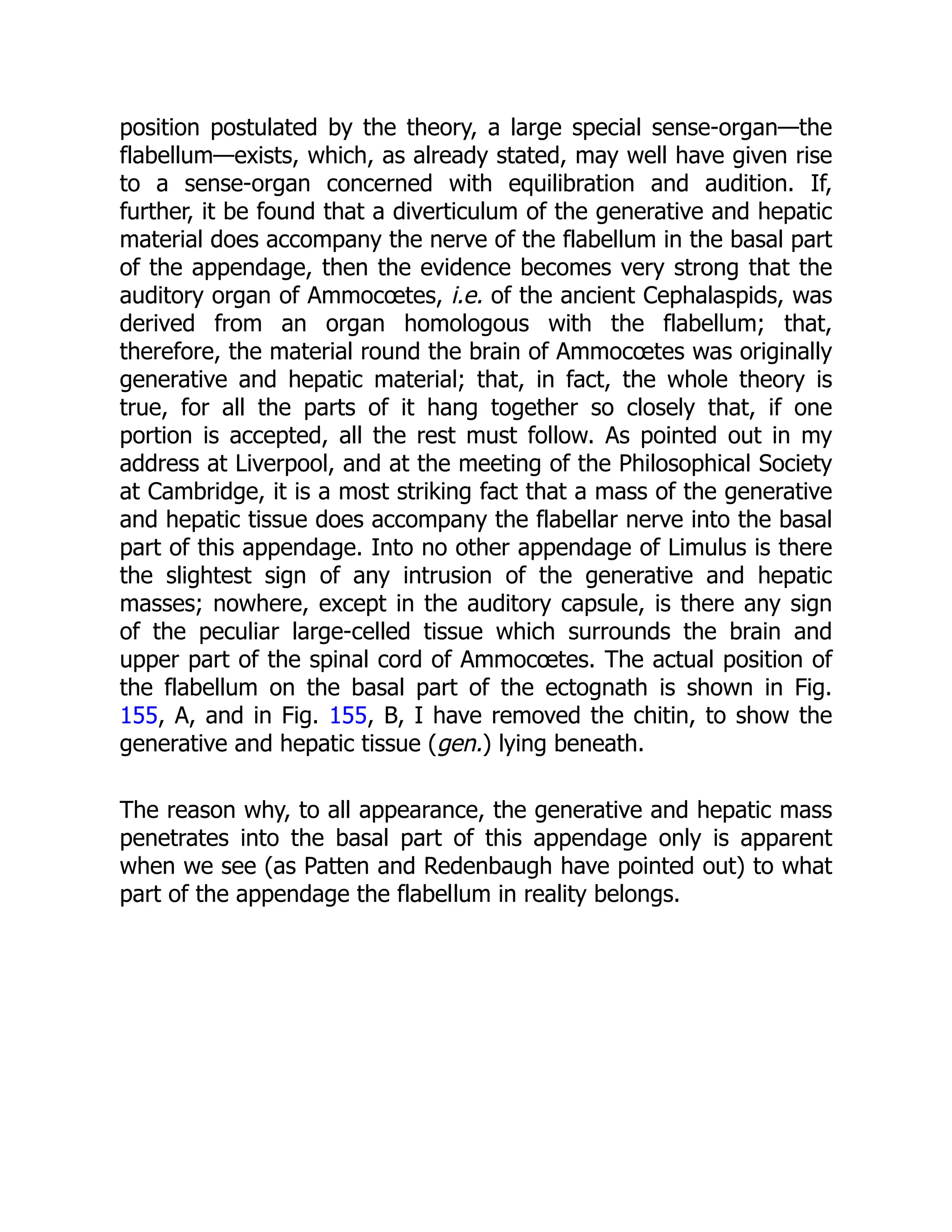 position postulated by the theory, a large special sense-organ—the
flabellum—exists, which, as already stated, may well have given rise
to a sense-organ concerned with equilibration and audition. If,
further, it be found that a diverticulum of the generative and hepatic
material does accompany the nerve of the flabellum in the basal part
of the appendage, then the evidence becomes very strong that the
auditory organ of Ammocœtes, i.e. of the ancient Cephalaspids, was
derived from an organ homologous with the flabellum; that,
therefore, the material round the brain of Ammocœtes was originally
generative and hepatic material; that, in fact, the whole theory is
true, for all the parts of it hang together so closely that, if one
portion is accepted, all the rest must follow. As pointed out in my
address at Liverpool, and at the meeting of the Philosophical Society
at Cambridge, it is a most striking fact that a mass of the generative
and hepatic tissue does accompany the flabellar nerve into the basal
part of this appendage. Into no other appendage of Limulus is there
the slightest sign of any intrusion of the generative and hepatic
masses; nowhere, except in the auditory capsule, is there any sign
of the peculiar large-celled tissue which surrounds the brain and
upper part of the spinal cord of Ammocœtes. The actual position of
the flabellum on the basal part of the ectognath is shown in Fig.
155, A, and in Fig. 155, B, I have removed the chitin, to show the
generative and hepatic tissue (gen.) lying beneath.
The reason why, to all appearance, the generative and hepatic mass
penetrates into the basal part of this appendage only is apparent
when we see (as Patten and Redenbaugh have pointed out) to what
part of the appendage the flabellum in reality belongs.
 