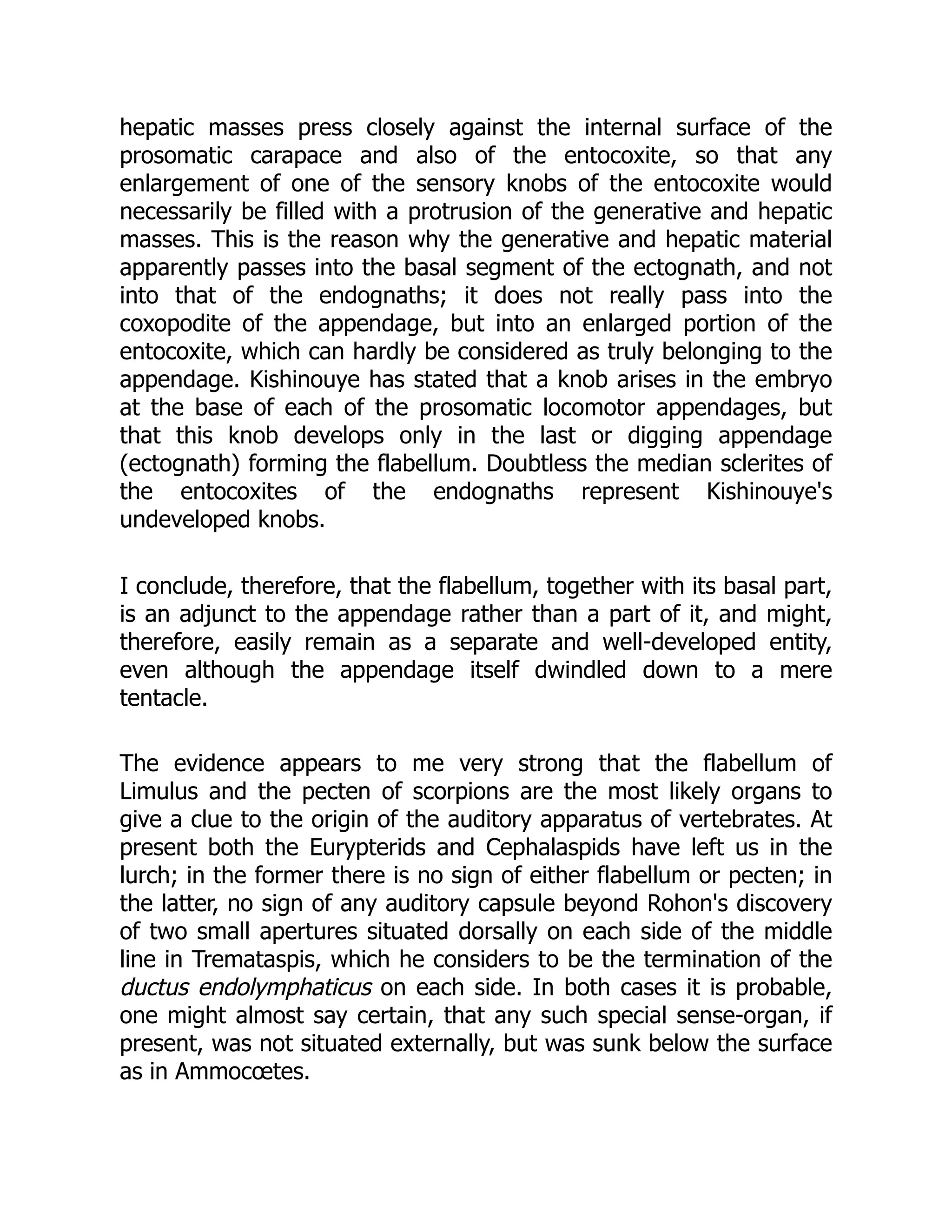 hepatic masses press closely against the internal surface of the
prosomatic carapace and also of the entocoxite, so that any
enlargement of one of the sensory knobs of the entocoxite would
necessarily be filled with a protrusion of the generative and hepatic
masses. This is the reason why the generative and hepatic material
apparently passes into the basal segment of the ectognath, and not
into that of the endognaths; it does not really pass into the
coxopodite of the appendage, but into an enlarged portion of the
entocoxite, which can hardly be considered as truly belonging to the
appendage. Kishinouye has stated that a knob arises in the embryo
at the base of each of the prosomatic locomotor appendages, but
that this knob develops only in the last or digging appendage
(ectognath) forming the flabellum. Doubtless the median sclerites of
the entocoxites of the endognaths represent Kishinouye's
undeveloped knobs.
I conclude, therefore, that the flabellum, together with its basal part,
is an adjunct to the appendage rather than a part of it, and might,
therefore, easily remain as a separate and well-developed entity,
even although the appendage itself dwindled down to a mere
tentacle.
The evidence appears to me very strong that the flabellum of
Limulus and the pecten of scorpions are the most likely organs to
give a clue to the origin of the auditory apparatus of vertebrates. At
present both the Eurypterids and Cephalaspids have left us in the
lurch; in the former there is no sign of either flabellum or pecten; in
the latter, no sign of any auditory capsule beyond Rohon's discovery
of two small apertures situated dorsally on each side of the middle
line in Tremataspis, which he considers to be the termination of the
ductus endolymphaticus on each side. In both cases it is probable,
one might almost say certain, that any such special sense-organ, if
present, was not situated externally, but was sunk below the surface
as in Ammocœtes.
 