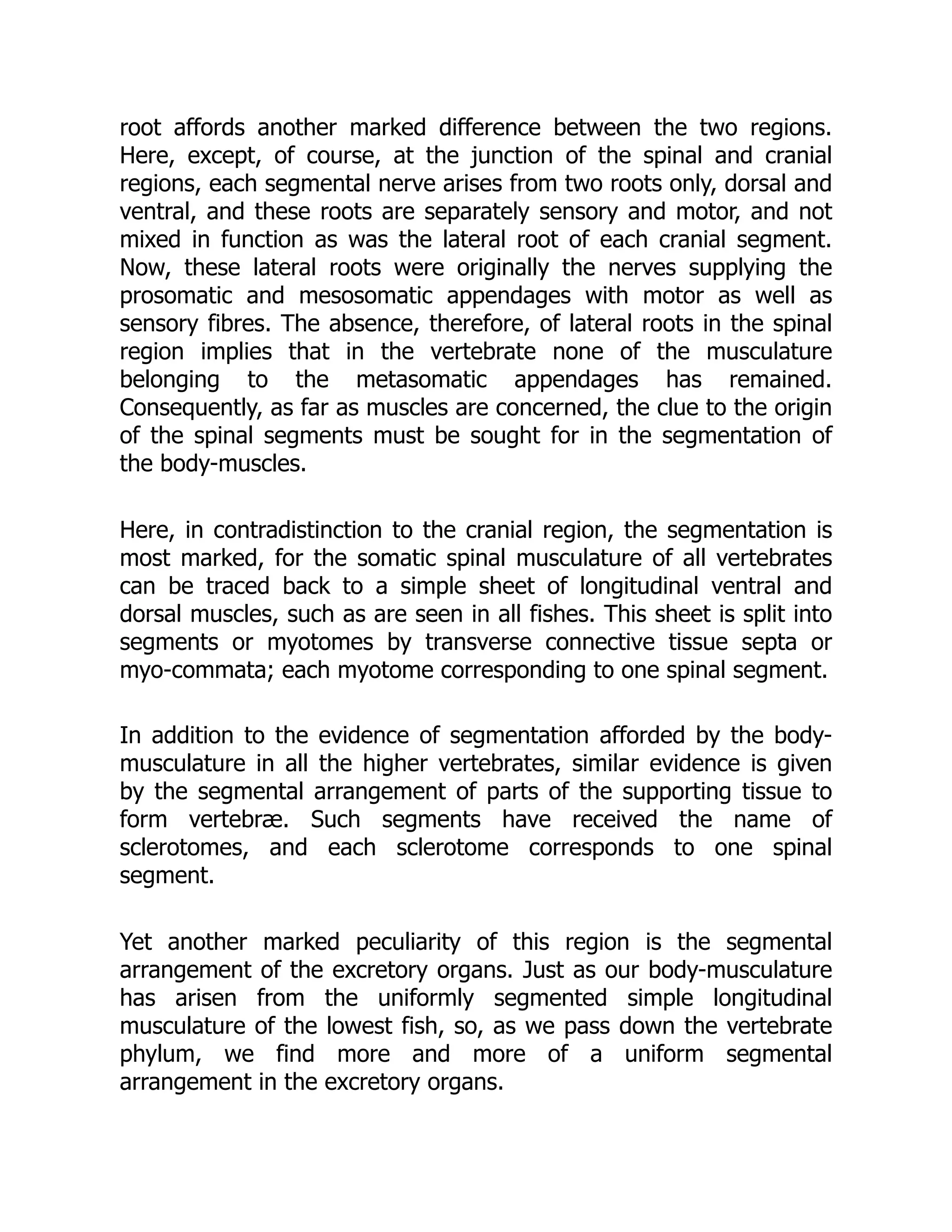 root affords another marked difference between the two regions.
Here, except, of course, at the junction of the spinal and cranial
regions, each segmental nerve arises from two roots only, dorsal and
ventral, and these roots are separately sensory and motor, and not
mixed in function as was the lateral root of each cranial segment.
Now, these lateral roots were originally the nerves supplying the
prosomatic and mesosomatic appendages with motor as well as
sensory fibres. The absence, therefore, of lateral roots in the spinal
region implies that in the vertebrate none of the musculature
belonging to the metasomatic appendages has remained.
Consequently, as far as muscles are concerned, the clue to the origin
of the spinal segments must be sought for in the segmentation of
the body-muscles.
Here, in contradistinction to the cranial region, the segmentation is
most marked, for the somatic spinal musculature of all vertebrates
can be traced back to a simple sheet of longitudinal ventral and
dorsal muscles, such as are seen in all fishes. This sheet is split into
segments or myotomes by transverse connective tissue septa or
myo-commata; each myotome corresponding to one spinal segment.
In addition to the evidence of segmentation afforded by the body-
musculature in all the higher vertebrates, similar evidence is given
by the segmental arrangement of parts of the supporting tissue to
form vertebræ. Such segments have received the name of
sclerotomes, and each sclerotome corresponds to one spinal
segment.
Yet another marked peculiarity of this region is the segmental
arrangement of the excretory organs. Just as our body-musculature
has arisen from the uniformly segmented simple longitudinal
musculature of the lowest fish, so, as we pass down the vertebrate
phylum, we find more and more of a uniform segmental
arrangement in the excretory organs.
 
