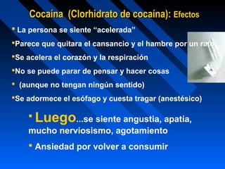 Cocaína (Clorhidrato de cocaína): Efectos
 La persona se siente “acelerada”
Parece que quitara el cansancio y el hambre por un rato
Se acelera el corazón y la respiración
No se puede parar de pensar y hacer cosas
 (aunque no tengan ningún sentido)
Se adormece el esófago y cuesta tragar (anestésico)

     Luego...se siente angustia, apatía,
    mucho nerviosismo, agotamiento
     Ansiedad por volver a consumir
 