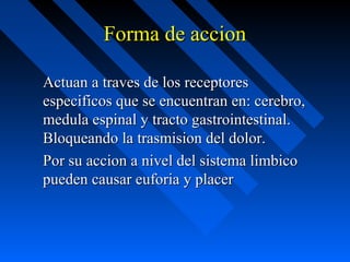 Forma de accion

Actuan a traves de los receptores
especificos que se encuentran en: cerebro,
medula espinal y tracto gastrointestinal.
Bloqueando la trasmision del dolor.
Por su accion a nivel del sistema limbico
pueden causar euforia y placer
 