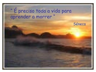 “ É preciso toda a vida para 
aprender a morrer “ 
Séneca 
 