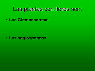 Las plantas con flores son:
• Las Gimnospermas
• Las angiospermas
 