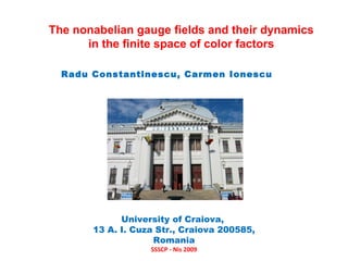 The nonabelian gauge fields and their dynamics in the finite space of color factors Radu Constantinescu, Carmen Ionescu University of Craiova,  13 A. I. Cuza Str., Craiova 200585, Romania SSSCP - Nis 2009 