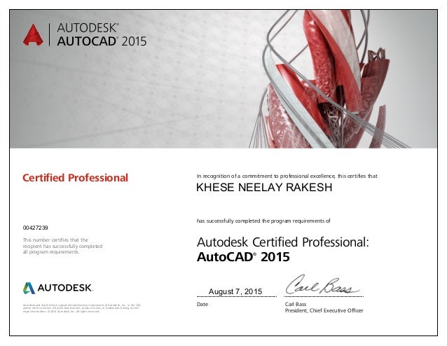 Certified forex professional