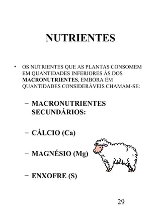 NUTRIENTES
•

OS NUTRIENTES QUE AS PLANTAS CONSOMEM
EM QUANTIDADES INFERIORES ÁS DOS
MACRONUTRIENTES, EMBORA EM
QUANTIDADES CONSIDERÁVEIS CHAMAM-SE:

– MACRONUTRIENTES
SECUNDÁRIOS:
– CÁLCIO (Ca)
– MAGNÉSIO (Mg)
– ENXOFRE (S)

29

 