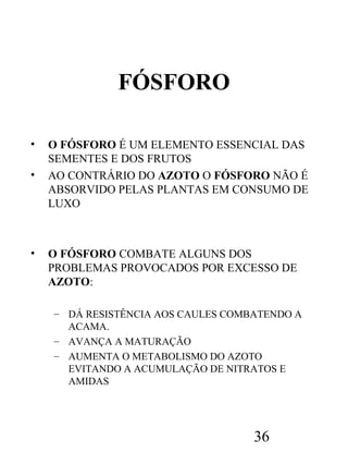 FÓSFORO
•
•

•

O FÓSFORO É UM ELEMENTO ESSENCIAL DAS
SEMENTES E DOS FRUTOS
AO CONTRÁRIO DO AZOTO O FÓSFORO NÃO É
ABSORVIDO PELAS PLANTAS EM CONSUMO DE
LUXO

O FÓSFORO COMBATE ALGUNS DOS
PROBLEMAS PROVOCADOS POR EXCESSO DE
AZOTO:
– DÁ RESISTÊNCIA AOS CAULES COMBATENDO A
ACAMA.
– AVANÇA A MATURAÇÃO
– AUMENTA O METABOLISMO DO AZOTO
EVITANDO A ACUMULAÇÃO DE NITRATOS E
AMIDAS

36

 