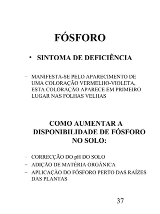FÓSFORO
• SINTOMA DE DEFICIÊNCIA
– MANIFESTA-SE PELO APARECIMENTO DE
UMA COLORAÇÃO VERMELHO-VIOLETA,
ESTA COLORAÇÃO APARECE EM PRIMEIRO
LUGAR NAS FOLHAS VELHAS

COMO AUMENTAR A
DISPONIBILIDADE DE FÓSFORO
NO SOLO:
– CORRECÇÃO DO pH DO SOLO
– ADIÇÃO DE MATÉRIA ORGÂNICA
– APLICAÇÃO DO FÓSFORO PERTO DAS RAÍZES
DAS PLANTAS

37

 