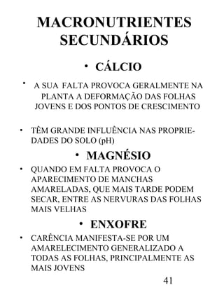 MACRONUTRIENTES
SECUNDÁRIOS
• CÁLCIO
•

•

A SUA FALTA PROVOCA GERALMENTE NA
PLANTA A DEFORMAÇÃO DAS FOLHAS
JOVENS E DOS PONTOS DE CRESCIMENTO
TÊM GRANDE INFLUÊNCIA NAS PROPRIEDADES DO SOLO (pH)

• MAGNÉSIO
•

QUANDO EM FALTA PROVOCA O
APARECIMENTO DE MANCHAS
AMARELADAS, QUE MAIS TARDE PODEM
SECAR, ENTRE AS NERVURAS DAS FOLHAS
MAIS VELHAS

• ENXOFRE
•

CARÊNCIA MANIFESTA-SE POR UM
AMARELECIMENTO GENERALIZADO A
TODAS AS FOLHAS, PRINCIPALMENTE AS
MAIS JOVENS

41

 