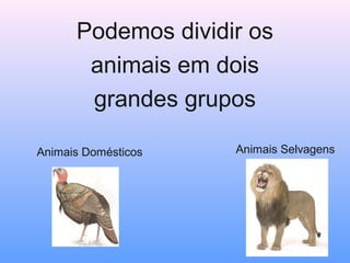 Podemos dividir os
animais em dois
grandes grupos
Animais Domésticos

Animais Selvagens

 