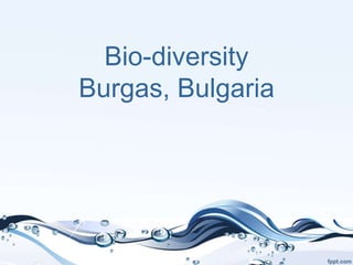 Bio-diversity
Burgas, Bulgaria
 