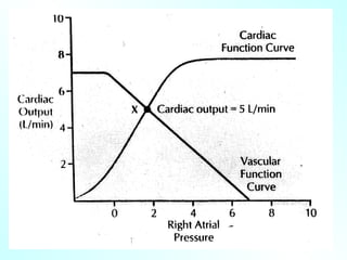 Comprehensive Overview of Cardiac Output and Its Regulation in Human ...