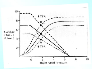 Comprehensive Overview of Cardiac Output and Its Regulation in Human ...