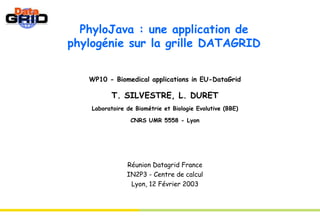 PhyloJava : une application de phylogénie sur la grille DATAGRID WP10 - Biomedical applications in EU-DataGrid T. SILVESTRE, L. DURET Laboratoire de Biométrie et Biologie Evolutive (BBE) CNRS UMR 5558 - Lyon Réunion Datagrid France IN2P3 - Centre de calcul Lyon, 12 Février 2003 