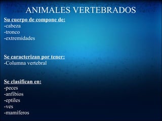 ANIMALES VERTEBRADOS | PPT