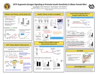 CETP transgenic female mice on high-fat diet are obese but insulin sensitive
Analysis of mRNA expression (normalized to ppia)
CETP Augments Estrogen Signaling to Promote Insulin Sensitivity in Obese Female Mice
Laura Abell1,2, Brian Palmisano1, David Cappel1, John Stafford1
AKT – phosphorylated vs. total
ERK 1/2 – phosphorylated vs. total
Mice are an ideal model organism for studying disease mechanisms...
BUT, lipid profiles differ between mice and humans
Solution:
Transgenic CETP mouse is a better
model of human lipid metabolism
CETP: A Mouse Model of Atherosclerosis
20 40 60
0
1
2
3
4
5
HDLLDLVLDL
CETP Mice
Fraction
Cholesterol(mg/fraction)
20 40 60
0
1
2
3
4
5 HDLLDLVLDL
C57 Mice
Fraction #
Cholesterol(mg/fraction)
20 40 60
0
1
2
3
4
5
HDLLDLVLDL
HUMAN
Fraction
Cholesterol(mg/fraction)
A B C
• Mice have high HDL (“good”
cholesterol) & very little LDL or VLDL
• Mice don’t express CETP
Genetically uniform Easy access to tissue samples
Normal mouse HumanCETP transgenic mouse
Diabetes increases risk of CHD
• The leading cause of death in patients
with diabetes is heart disease.
• CHD accounts for 65% of all deaths in
individuals with diabetes
• Lifetime risk of cardiovascular events is
2-4 times greater in diabetics vs.
Those without diabetes
Female gender reduces risk of CHD
• Women have a delayed onset of CHD
compared to men of the same age and
BMI
Diabetes, Heart Disease, and the Gender Gap
11.5
6.3
29.9
19.2
0
5
10
15
20
25
30
35
Men Women
Yearlydeathsper1000people
Heart Disease
No diabetes
Diabetes
35 45 55 65
0
5
10
15
Women
Men
FirstMI
(per1000persons)
About
Half
Delayed Onset
25 35 45 55 65
0
2
4
6
8
FirstMI
(per1000persons)
Presence of
Estrogen?
Pre Menopause Post Menopause
• After menopause, instance of heart attack
and other cardiovascular events rises
• Is estrogen involved?
Plasma
Triglyceride
Production Storage
C
B100
mature
VLDL
TG
B100
LDL
CE CETP TGCholesterol
Delivery to liver
(RCT)
CETP CETP
CE CETP TG
Under high fat diet, CETP may protect against development of insulin
resistance by promoting TG storage in adipose and reducing liver fat
≈
“Healthy” Obesity: Paradox or Possibility?
Menopause as a model of a metabolic
transition between low and high risk for
cardiovascular disease.
Sample
Vein Artery
Insulin
Glucose
RBCs
[3-3H] Glucose
[14C] Glycerol
Hyperinsulinemic-euglycemic
clamp is used to measure insulin
sensitivity
• Insulin is infused at a constant
rate
• Glucose is infused at a rate
necessary to maintain
euglycemia (~150 mg/dl)
• More glucose infused
indicates greater insulin
sensitivity
Male Female Male Female
Non-Transgenic LittermatesCETP Transgenic
Four
groups
W
T
M
ale
C
ETP
M
ale
W
T
Fem
ale
C
ETP
Fem
ale
0
50
100
150
200
* *
CETPActivity
(pmolTransfered)
W
T
M
ale
C
ETP
M
ale
W
T
Fem
ale
C
ETP
Fem
ale
0
50
100
150
200
FastingBloodGlucose
(mg/dL)
W
T
M
ale
C
ETP
M
ale
W
T
Fem
ale
C
ETP
Fem
ale
0.0
0.5
1.0
1.5
2.0 *
*
*
FastingInsulin(ng/mL)
C D
0
10
20
30 * ***
High Fat Diet - + - + - + - +
*
CETP
Female
WT
Female
CETP
Male
WT
Male
Adiposity
(%BodyFat)
A B
W
T
M
ale
C
ETP
M
ale
W
T
Fem
ale
C
ETP
Fem
ale
0
50
100
150
200
* *
CETPActivity
(pmolTransfered)
W
T
M
ale
C
ETP
M
ale
W
T
Fem
ale
C
ETP
Fem
ale
0
50
100
150
200
FastingBloodGlucose
(mg/dL)
W
T
M
ale
C
ETP
M
ale
W
T
Fem
ale
C
ETP
Fem
ale
0.0
0.5
1.0
1.5
2.0 *
*
*
FastingInsulin(ng/mL)
C D
0
10
20
30 * ***
High Fat Diet - + - + - + - +
*
CETP
Female
WT
Female
CETP
Male
WT
Male
Adiposity
(%BodyFat)
A B

Low fasting
insulin
% body fat: low-fat vs. high fat diet
All groups gained fat
Fasting insulin during high-fat diet
Low fasting insulin in CETP females
W
T
M
aleC
ETP
M
aleW
T
Fem
aleC
ETP
Fem
ale
0
200
400
600
800
*
*
*
InsulinSensitivityIndex
mg·ml/(kg·min·mU)
0 50 100
0
10
20
30
40
50
*
*
*
*
*
*
* * * *
WT Male
CETP Male
WT Female
CETP Female
* *
Time (min)
GIR(mg/kg/min)
0 50 100
0
50
100
150
200
WT Male
CETP Male
WT Female
CETP Female
Time (min)
BloodGlucose(mg/dL)
Glucoseto 125-150mg/dL
Insulin4mU/kg/min
Donor erythrocytes
3-3
H-Glucose Primed constant infusion
1200-90
Hyperinsulinemic-Euglycemic ProtocolA B
C D

High rate of
glucose infusion

High insulin
sensitivity
Clamp studies confirmed that
CETP female mice on HFD were
more insulin-sensitive than either
CETP males or WT mice
CETP augments estrogen-mediated changes in mRNA expressionHypothesis:
Why do the effects of
CETP differ with gender?
Estrogen-induced mRNA changes in
ovariectomized female mice
CETP
Wild Type
CETP requires estrogen to enhance insulin signaling in males
Gpat2 (ppia)
0 hr 24 hr 0 hr 24 hr
0.0
0.5
1.0
1.5
WT
CETP*
#, &, %SHP (ppia)
0 hr 24 hr 0 hr 24 hr
0.0
0.5
1.0
1.5
2.0
2.5
WT
CETP
*
CETP (ppia)
0
H
r
24
H
r
0.0
0.5
1.0
1.5
FoldChange
Insulin-induced signaling effects in
estrogen-treated male mice
Hypothesis:
Our Model
I would like to thank the Vanderbilt Summer Science Academy and its leadership for their
support, as well as the Stafford lab for facilitating my research experience this summer.
This work was supported by the Department of Veterans Affairs Merit Award (BX002223).
Acknowledgements
1Department of Medicine, Division of Diabetes Endocrinology, Vanderbilt University, Nashville, TN.
2Auburn University
CETP expression remained
constant at 24 hours post-
injection in CETP+ mice.
CETP
In CETP+ mice, SHP expression
expression increased over 24 hours
in response to estrogen injection.
SHP GPAT2
Baseline GPAT 2 expression was
significantly decreased in CETP vs.
WT mice.
Is estrogen responsible for
CETP’s gender-specific protection?
Wild Type
CETP
P-AKT
AKT
CETP transfers triglycerides
from VLDL to HDL & moves
cholesteryl esters from HDL to
VLDL
Cholesteryl esters in VLDL can be
taken up by the liver and
converted to bile acids
Bile acids promote insulin
sensitivity
WT saline WT insulin CETP saline CETP insulin
Results: AKT phosphorylation increased in response to insulin, but was not
enhanced in CETP mice vs. WT
P-ERK 1/2
ERK 1/2
WT saline WT insulin CETP saline CETP insulin
Results: ERK 1/2 phosphorylation increased in response to insulin, but only in
CETP mice
We hypothesize that CETP enhances insulin
sensitivity by:
• Enhancing estrogen signaling through Erα,
activating SHP and downregulating
gluconeogenesis
• Improving uptake of cholesteryl esters for
conversion to bile acids
5 weeks high fat diet
E2 injection every 4 days
Final E2 injection
6 hr fast
Insulin
Saline
Liver tissue harvested 15 minutes after saline or insulin injection
1 week
Subcutaneous
E2 injection
0 hr tissue
harvest
24 hr tissue
harvest
Ovariectomy
Bile Acids
Cholesteryl
Ester
Fxr
Shp
Gluconeogenic Genes
•G6pc
•Pck1
CETP
+
ERα
E2
+
High GIR in CETP females High insulin sensitivity index
in CETP females
P-Akt
- + - +
0
1
2
3
4
insulin
WT CETP
FoldChange
P-Erk
- + - +
0
1
2
3
FoldChange
insulin
WT CETP
 