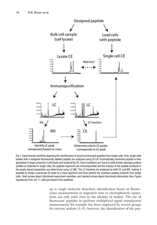 Singlecell Analysis Methods And Protocols 1st Edition Dino Di Carlo | PDF