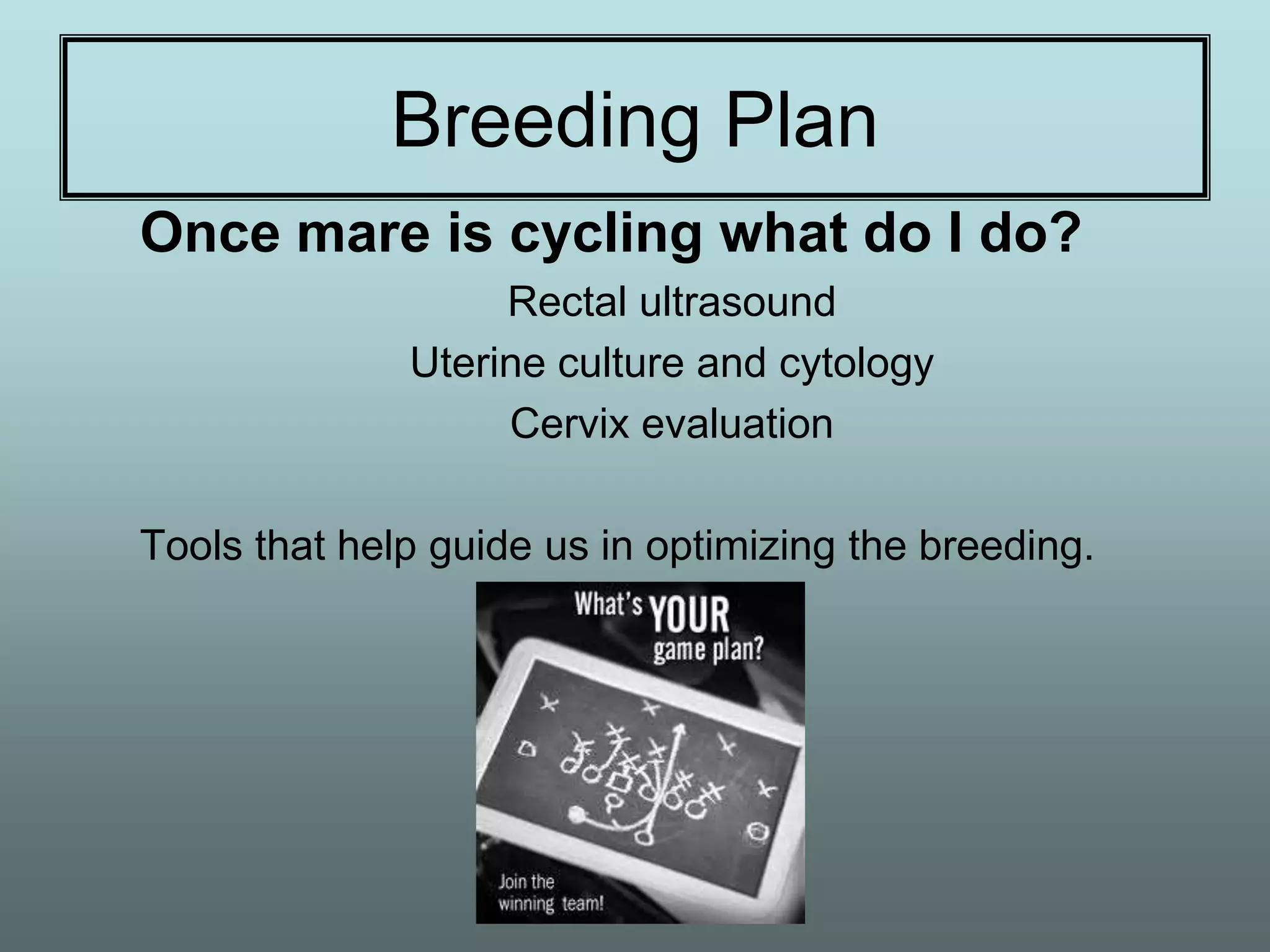 Breeding Plan
Once mare is cycling what do I do?
                   Rectal ultrasound
              Uterine culture and cytology
                   Cervix evaluation

Tools that help guide us in optimizing the breeding.
 