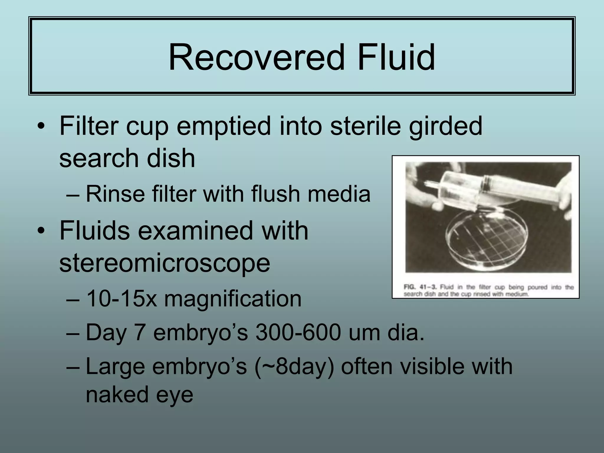 Recovered Fluid
• Filter cup emptied into sterile girded
  search dish
  – Rinse filter with flush media
• Fluids examined with
  stereomicroscope
  – 10-15x magnification
  – Day 7 embryo’s 300-600 um dia.
  – Large embryo’s (~8day) often visible with
    naked eye
 
