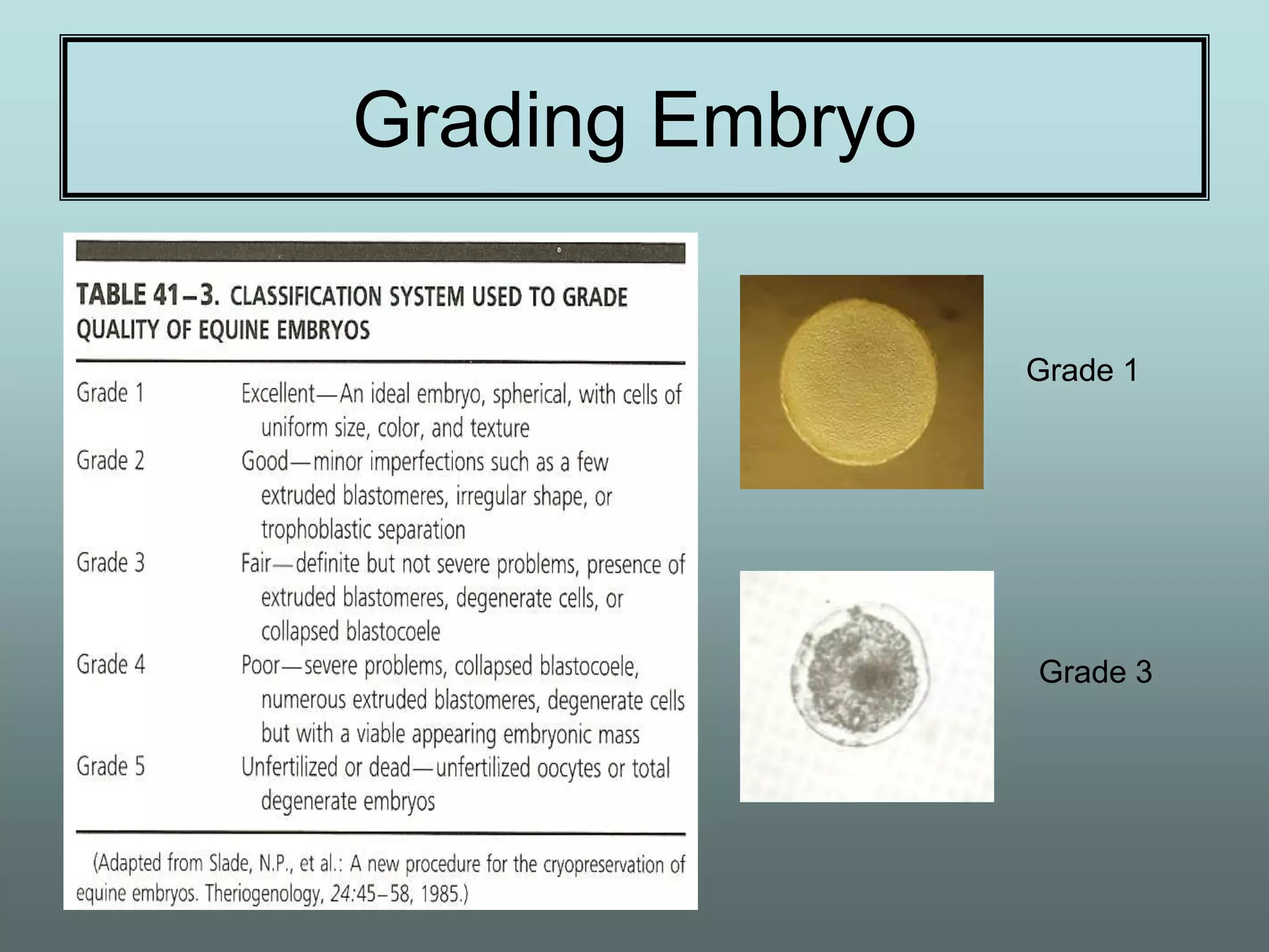 Grading Embryo


                 Grade 1




                 Grade 3
 
