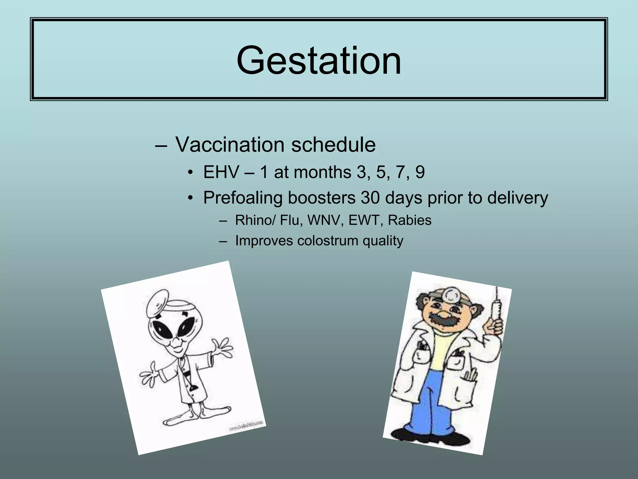 Gestation
– Vaccination schedule
   • EHV – 1 at months 3, 5, 7, 9
   • Prefoaling boosters 30 days prior to delivery
       – Rhino/ Flu, WNV, EWT, Rabies
       – Improves colostrum quality
 