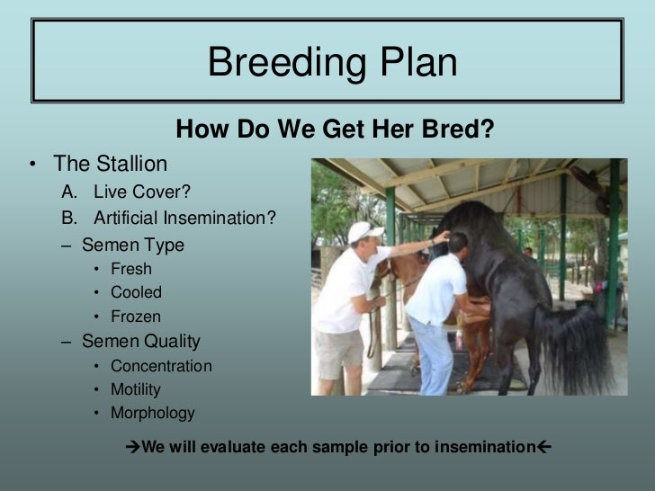 Equine Reproductive Techniques