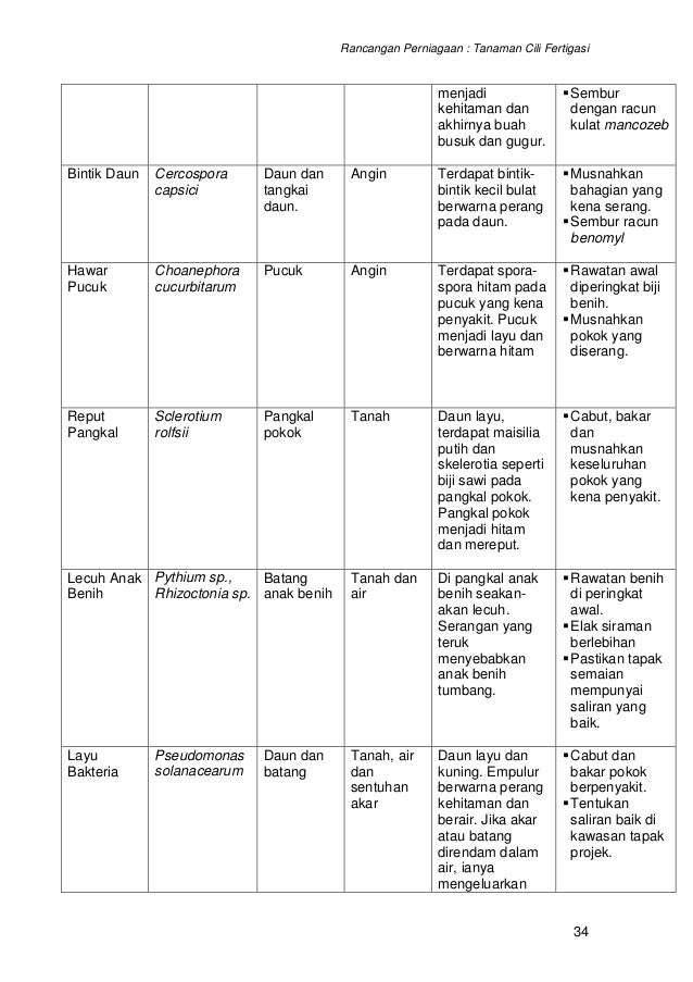 contoh perniagaan fertigasi rancangan cili projek kertas kerja contoh 12631262 rancangan perniagaan contoh perniagaan fertigasi rancangan cili projek kertas kerja contoh 12631262 rancangan perniagaan
