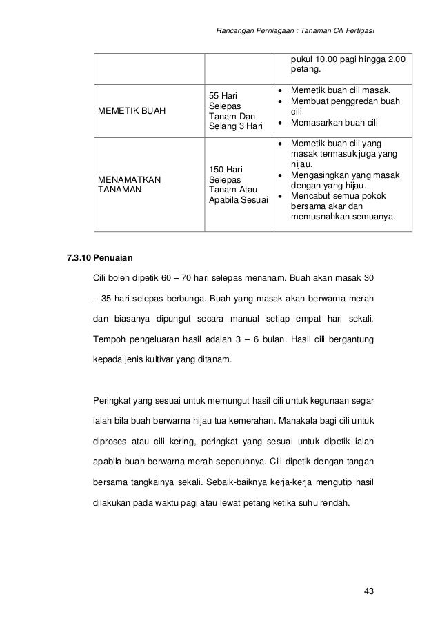 12631262 contoh-kertas-kerja-rancangan-perniagaan-projek 