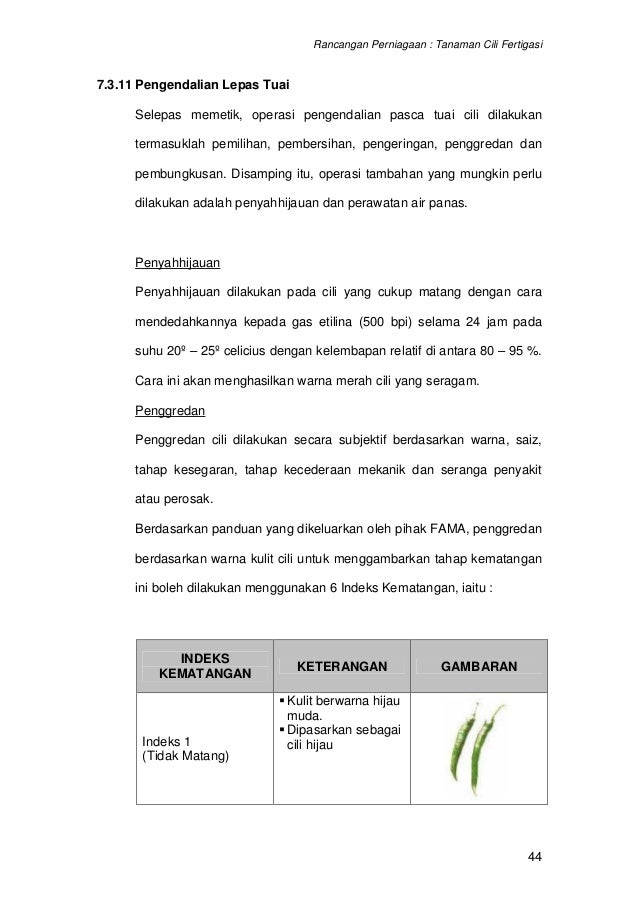 12631262 contoh-kertas-kerja-rancangan-perniagaan-projek 