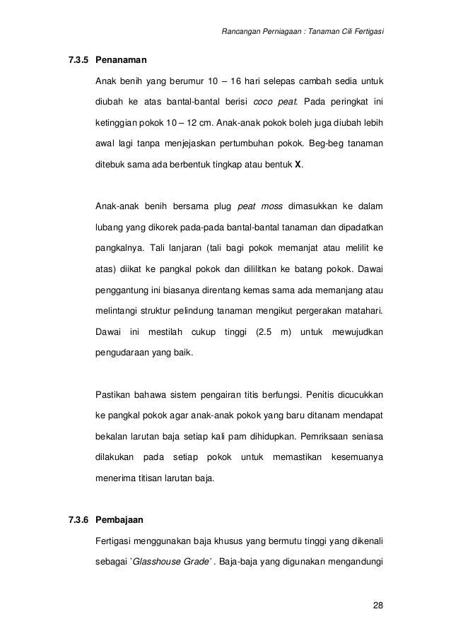 Contoh kertas kerja audit