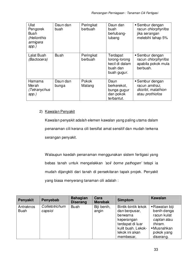 contoh kertas kerja rancangan perniagaan tanaman contoh kertas kerja rancangan perniagaan tanaman