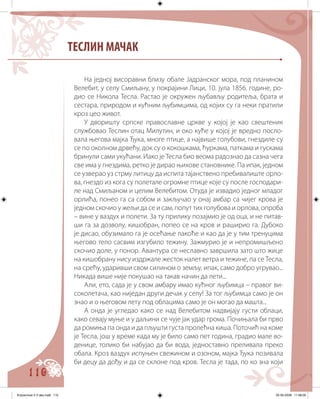 110
ТЕСЛИН МАЧАК
На једној висоравни близу обале Јадранског мора, под планином
Велебит, у селу Смиљану, у покрајини Лици, 10. јула 1856. године, ро-
дио се Никола Тесла. Растао је окружен љубављу родитеља, брата и
сестара, природом и кућним љубимцима, од којих су га неки пратили
кроз цео живот.
У дворишту српске православне цркве у којој је као свештеник
службовао Теслин отац Милутин, и око куће у којој је вредно посло-
вала његова мајка Ђука, многе птице, а највише голубови, гнездиле су
се по околном дрвећу, док су о кокошкама, ћуркама, паткама и гускама
бринули сами укућани. Иако је Тесла био веома радознао да сазна чега
све има у гнездима, ретко је дирао њихове становнике. Па ипак, једном
се узверао уз стрму литицу да испита тајанствено пребивалиште орло-
ва, гнездо из кога су полетале огромне птице које су после господари-
ле над Смиљаном и целим Велебитом. Отуда је извадио једног младог
орлића, понео га са собом и закључао у онај амбар са чијег крова је
једном скочио у жељи да се и сам, попут тих голубова и орлова, опроба
– вине у ваздух и полети. За ту прилику позајмио је од оца, и не питав-
ши га за дозволу, кишобран, попео се на кров и раширио га. Дубоко
је дисао, обузимало га је осећање лакоће и као да је у тим тренуцима
његово тело сасвим изгубило тежину. Зажмурио је и непромишљено
скочио доле, у понор. Авантура се неславно завршила зато што жице
на кишобрану нису издржале жесток налет ветра и тежине, па се Тесла,
на срећу, ударивши свом силином о земљу, ипак, само добро угрувао...
Никада више није покушао на такав начин да лети...
Али, ето, сада је у свом амбару имао кућног љубимца – правог ви-
соколетача, као ниједан други дечак у селу! За тог љубимца само је он
знао и о његовом лету под облацима само је он могао да машта...
А онда је угледао како се над Велебитом надвијају густи облаци,
како севају муње и у даљини се чује јак удар грома. Почињала би прво
да ромиња па онда и да пљушти густа пролећна киша. Поточић на коме
је Тесла, још у време када му је било само пет година, градио мале во-
денице, толико би набујао да би вода, једноставно преливала преко
обала. Кроз ваздух испуњен свежином и озоном, мајка Ђука позивала
би децу да дођу и да се склоне под кров. Тесла је тада, по ко зна који
Knjizevnost 4 V deo.indd 110 05-06-2008 11:58:00
 