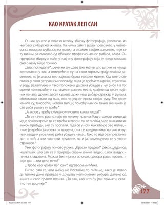 177
КАО КРАТАК ЛЕП САН
Он ми донесе и показа велику збирку фотографија, успомена из
његовог рибарског живота. На њима сам га једва препознао: у чизма�
ма, са високом шубаром на глави, па и самим својим држањем, није се
ту ничим разликовао од обичног професионалног рибара, аласа. Он
претражи збирку и нађе у њој ону фотографију која је представљала
оно о чему ми је причао.
„Ево, погледајте“, рече ми он, „ове јаке мотке што штрче из чамца
вертикално у вис, а оптерећене су на свом горњем крају тешким ка�
менима, то је аласка вертхајмова брава њихове мреже. Кад оне стоје
овако, у свом усправном положају, онда је врећаста мрежа, спуштена
у воду, разјапљена и тако положена, да река убацује у њу рибу. На тој
мрежи причвршћени су, на десет разних места, крајеви од десет поја�
чих канапа; других десет крајева држи наш рибар-стражар у рукама,
обмотавши, сваки од њих, око по једног прста својих руку. Тих десет
канапа су, такорећи, његови пипци; помоћу њих он тачно зна каква је
све риба ушла у ту врећу.“
„А ако је у врећу случајно упловила каква клада?“
„То се тачно распознаје по начину трзања. Кад стражар увиди да
му је дошло време да се врећа затвори, он осталима даде знак или их
виком пробуди, ако су поспали. Тада се у исти мах оборе ове мотке, и
тиме је врећаста мрежа затворена, она се заједничким снагама изву�
че из воде и уловљена риба убаци у чамац. Тако то иде без престанка
дан и ноћ, а сви чланови дружине, па и ја, одмењујемо се у улози
стражара.“
Узех фотографију поново у руке. „Красан предео!“ рекох, „један од
најлепших што сам га у природи својим очима видео. Свеж ваздух и
летња хладовина. Можда бих и ја могао онде, одмора ради, провести
који дан – али цело лето?“
„Прође као кратак леп сан!“, одговори ми Мика.
Питао сам се, али њему не поставих то питање, како је могао
да толике дане проведе у друштву неписмених рибара, далеко од
књиге и свог правог позива. „То сам, као што ћу још причати, схва�
тио тек доцније.“
Knjizevnost 4 VII deo.indd 177 05-06-2008 11:59:35
 