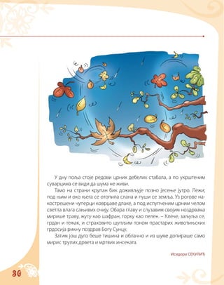 30
У дну поља стоје редови црних дебелих стабала, а по укрштеним
суварцима се види да шума не живи.
Тамо на страни крупан бик доживљује позно јесење јутро. Лежи;
под њим и око њега се отопила слана и пуши се земља. Уз рогове на-
кострешени чуперци коврџаве длаке, а под испупченим црним челом
светла влага сањивих очију. Обара главу и слузавим својим ноздрвама
мирише траву, жуту као шафран, горку као пелен. – Клече, заљуља се,
грдан и тежак, и страховито шупљим тоном прастарих животињских
грдосија рикну поздрав Богу Сунцу.
Затим још дуго беше тишина и облачно и из шуме допираше само
мирис трулих дрвета и мртвих инсеката.
Исидора СЕКУЛИЋ
 