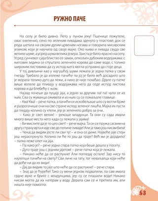 53
РУЖНО ПАЧЕ
На селу је било дивно. Лето у пуном јеку! Пшенице пожутеле,
овас озеленио, сено по зеленим ливадама зденуто у пластове, док се
рода шетала на својим дугим црвеним ногама и говорила мисирским
језиком, који је научила од своје мајке. Око њива и ливада свуда све
великешуме,аусредшумавеликајезера.Заистајебилокраснонаселу.
Усред сунчевог сјаја блистао се замак, опкољен дубоким водојажама: с
његових зидина се спуштало зеленило корова до саме воде, с толико
широким листовима да су испод њега могла усправно да стоје деца.
У тој дивљини као у најгушћој шуми лежала је једна патка у свом
гнезду. Требало је да излеже пачиће па јој је било већ досадило што
је морала толико дуго да лежи, а нико је није похађао. Друге су патке
више волеле да пливају у водојажама него да седе испод листова
корова и да блебећу с њом.
Најзад почеше да пуцају јаја, а једно за другим: па! па! чуло се из
њих. Сва су жуманца оживела и из њих су се помаљале главице.
– Ква! Kва! – рече патка, а пачићи се искобељаше што су могли брже
и разрогачише очи на све стране испод зеленог лишћa. Мајка их пусти
да гледају колико су хтели, јер је зеленило добро за очи.
– Како је свет велик! – рекоше младунци. Та они су сада имали
много више места него када су лежали у јајима!
– Ви мислите да је то цео свет! – рече мајка. Та он се пружа сасвим на
другустранувртаиидесведопопинеливаде!Алијатамојошнисамбила!
– Чекај да видим јесте ли сви ту! – и она се диже. Највеће јаје стоји
још нераспукнуто. Колико ли ће то још да траје? Већ ми је дојадило!
– патка леже опет на јаја.
– Па како је? – рече једна стара патка која беше дошла у посету.
– Дуго траје још с једним јајетом! – рече патка која је лежала.
– Никако неће да се распукне! Али погледај остале! Зар нису то
најлепши пачићи на свету? Сви личе на тату, тог неваљалца који неће
да дође ни да их види!
– Дај да видим то јаје што неће да се распукне! – рече стара.
– Знај да је ћуреће! Тако су мени једном подвалили, па сам имала
грдне муке и бриге с младунцима, јер су се плашили воде! Никако
нисам могла да их натерам у воду. Дерала сам се и претила им, али
ништа није помогло.
 