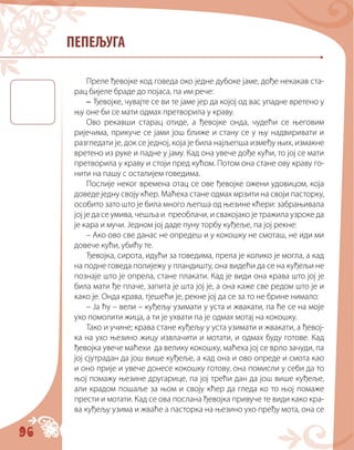96
ПЕПЕЉУГА
Преле ђевојке код говеда око једне дубоке јаме, дође некакав ста-
рац бијеле браде до појаса, па им рече:
– Ђевојке, чувајте се ви те јаме јер да којoj од вас упадне вретено у
њу оне би се мати одмах претворила у краву.
Ово рекавши старац отиде, а ђевојке онда, чудећи се његовим
ријечима, прикуче се јами још ближе и стану се у њу надвиривати и
разгледати је, док се једној, која је била најљепша између њих, измакне
вретено из руке и падне у јаму. Кад она увече дође кући, то јој се мати
претворила у краву и стоји пред кућом. Потом она стане ову краву го-
нити на пашу с осталијем говедима.
Послије неког времена отац се ове ђевојке ожени удовицом, која
доведе једну своју кћер. Маћеха стане одмах мрзити на своји пасторку,
особито зато што је била много љепша од њезине кћери: забрањивала
јој је да се умива, чешља и преоблачи, и свакојако је тражила узроке да
је кара и мучи. Једном јој даде пуну торбу куђеље, па јој рекне:
– Ако ово све данас не опредеш и у кокошку не смоташ, не иди ми
довече кући, убићу те.
Ђевојка, сирота, идући за говедима, прела је колико је могла, а кад
на подне говеда полијежу у пландишту, она видећи да се на куђељи не
познаје што је опрела, стане плакати. Кад је види она крава што јој је
била мати ђе плаче, запита је шта јој је, а она каже све редом што је и
како је. Онда крава, тјешећи је, рекне јој да се за то не брине нимало:
– Ја ћу – вели – куђељу узимати у уста и жвакати, па ће се на моје
ухо помолити жица, а ти је ухвати па је одмах мотај на кокошку.
Тако и учине; крава стане куђељу у уста узимати и жвакати, а ђевој-
ка на ухо њезино жицу извлачити и мотати, и одмах буду готове. Кад
ђевојка увече маћехи да велику кокошку, маћеха јој се врло зачуди, па
јој сјутрадан да још више куђеље, а кад она и ово опреде и смота као
и оно прије и увече донесе кокошку готову, она помисли у себи да то
њој помажу њезине другарице, па јој трећи дан да још више куђеље,
али крадом пошаље за њом и своју кћер да гледа ко то њој помаже
прести и мотати. Кад се ова послана ђевојка привуче те види како кра-
ва куђељу узима и жваће а пасторка на њезино ухо пређу мота, она се
 