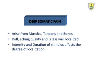 DEEP SOMATIC PAIN
• Arise from Muscles, Tendons and Bones
• Dull, aching quality and is less well localized
• Intensity and Duration of stimulus affects the
degree of localization
 