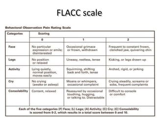 FLACC scale
 