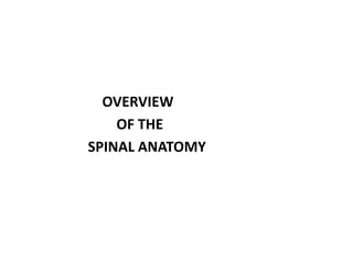 OVERVIEW
OF THE
SPINAL ANATOMY
 