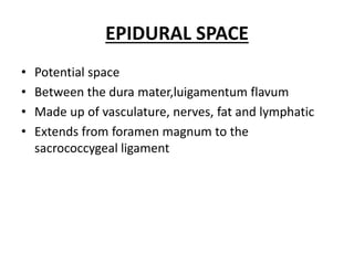 EPIDURAL SPACE
• Potential space
• Between the dura mater,luigamentum flavum
• Made up of vasculature, nerves, fat and lymphatic
• Extends from foramen magnum to the
sacrococcygeal ligament
 