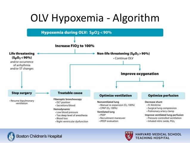 Post-Tonsillectomy Bleed and One-Lung Ventilation 