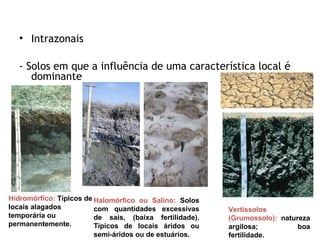 • Intrazonais
- Solos em que a influência de uma característica local é
dominante

Hidromórfico: Típicos de Halomórfico ou Salino: Solos
locais alagados
com quantidades excessivas
temporária ou
de sais, (baixa fertilidade).
permanentemente.
Típicos de locais áridos ou
semi-áridos ou de estuários.

Vertissolos
(Grumossolo): natureza
argilosa;
boa
fertilidade.

 