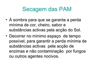 Secagem das PAM
• À sombra para que se garanta a perda
mínima de cor, cheiro, sabor e
substâncias activas pela acção do Sol.
• Decorrer no mínimo espaço de tempo
possível, para garantir a perda mínima de
substâncias activas pela acção de
enzimas e não contaminação por fungos
ou outros agentes nocivos.

 