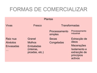 FORMAS DE COMERCIALIZAR
Plantas
Vivas

Fresco

Transformadas
Processamento
simples

Raiz nua
Alvéolos
Envasadas
…

Granel
Molhos
Embaladas
(inteiras,
picadas, etc.)

Processamento
industrial

Secas
Congeladas

Extracção de
óleos
Macerações
Isolamento e
extracção de
princípios
activos

 