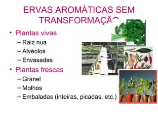 ERVAS AROMÁTICAS SEM
TRANSFORMAÇÃO
• Plantas vivas
– Raiz nua
– Alvéolos
– Envasadas

• Plantas frescas
– Granel
– Molhos
– Embaladas (inteiras, picadas, etc.)

 