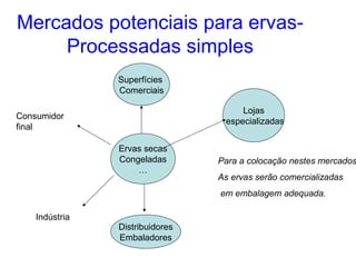 Mercados potenciais para ervasProcessadas simples
Superfícies
Comerciais
Lojas
especializadas

Consumidor
final
Ervas secas
Congeladas
…

Para a colocação nestes mercados
As ervas serão comercializadas
em embalagem adequada.

Indústria

Distribuidores
Embaladores

 