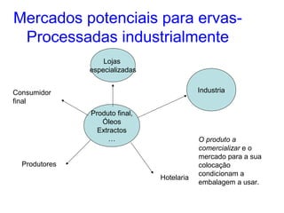 Mercados potenciais para ervasProcessadas industrialmente
Lojas
especializadas
Industria

Consumidor
final
Produto final,
Óleos
Extractos
…
Produtores
Hotelaria

O produto a
comercializar e o
mercado para a sua
colocação
condicionam a
embalagem a usar.

 