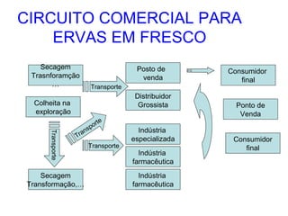CIRCUITO COMERCIAL PARA
ERVAS EM FRESCO
Secagem
Trasnforamção
…

Posto de
venda
Transporte

Distribuidor
Grossista

Colheita na
exploração
Transporte

e
ort
p
ns
a
Tr

Secagem
Transformação,…

Transporte

Indústria
especializada
Indústria
farmacêutica
Indústria
farmacêutica

Consumidor
final
Ponto de
Venda
Consumidor
final

 