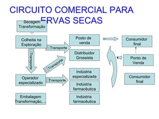 CIRCUITO COMERCIAL PARA
Secagem ERVAS SECAS
Transformação
…
Colheita na
Exploração
Transporte

Operador
especializado
Embalagem
Transformação,…

Posto de
venda
Transporte
e
ort
p
ns
a
Tr

Transporte

Distribuidor
Grossista
Indústria
especializada
Indústria
farmacêutica
Indústria
farmacêutica

Consumidor
final
Ponto de
Venda
Consumidor
final

 