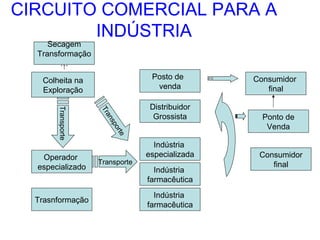CIRCUITO COMERCIAL PARA A
INDÚSTRIA
Secagem
Transformação
…

Posto de
venda

Colheita na
Exploração

Trasnformação

te
or
sp
an
Tr

Transporte

Operador
especializado

Transporte

Distribuidor
Grossista
Indústria
especializada
Indústria
farmacêutica
Indústria
farmacêutica

Consumidor
final
Ponto de
Venda
Consumidor
final

 
